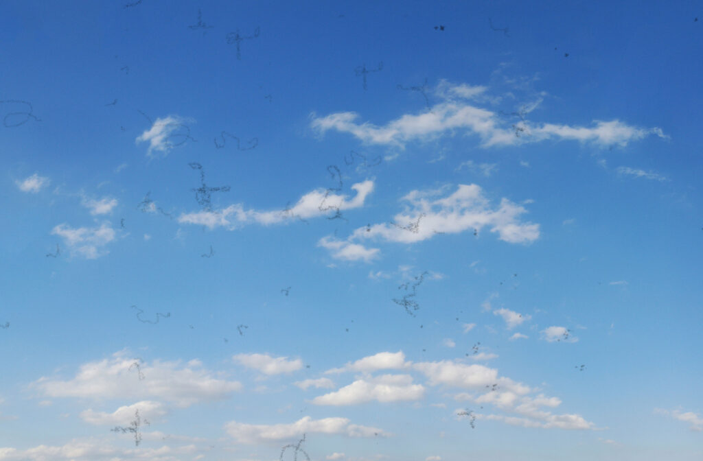 The point-of-view of someone with floaters in their vision looking up at a cloudy blue sky.
